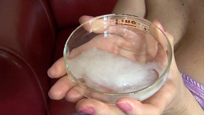 サンプル画像 14