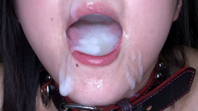 サンプル画像 20