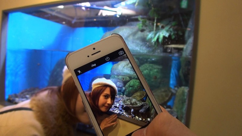 サンプル画像 9