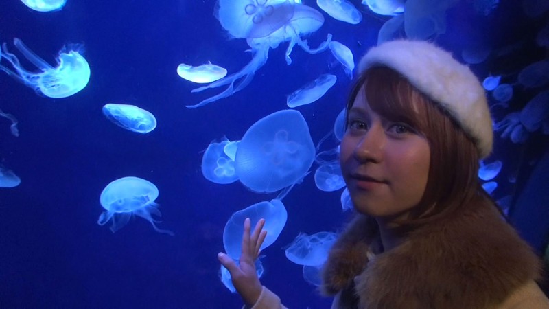 サンプル画像 10