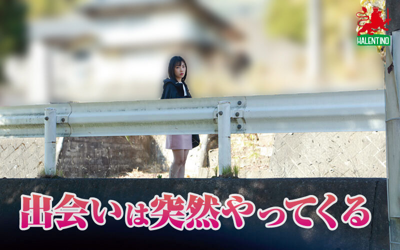 サンプル画像 2