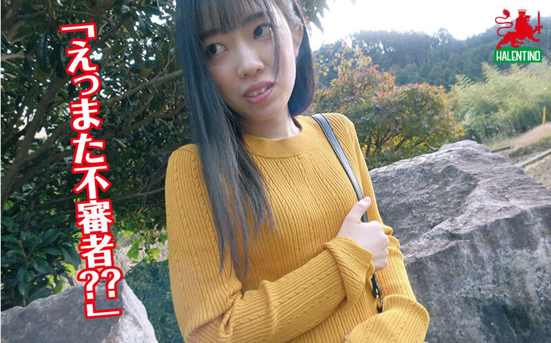 サンプル画像 13