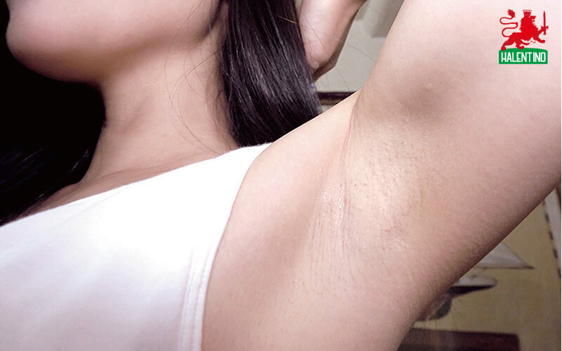 サンプル画像 15