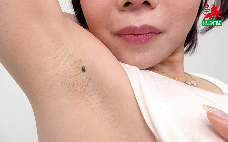 サンプル画像 19