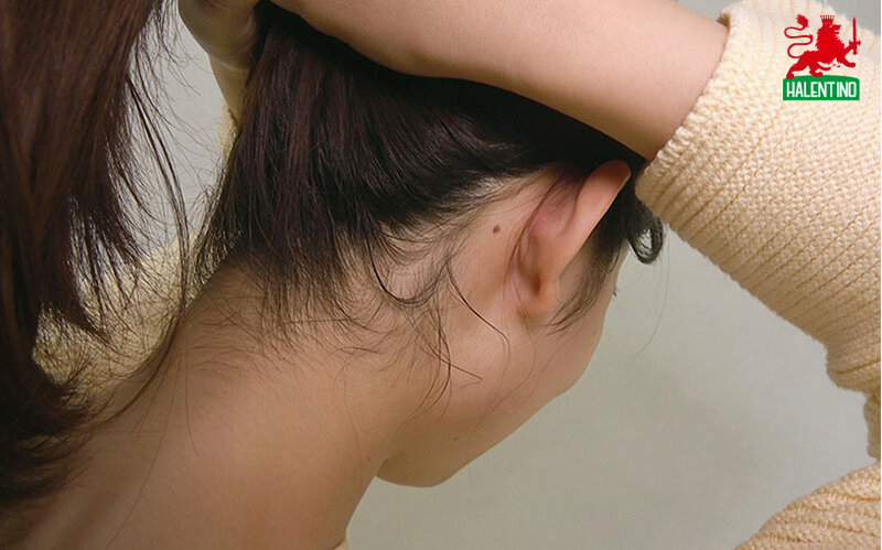 サンプル画像 3