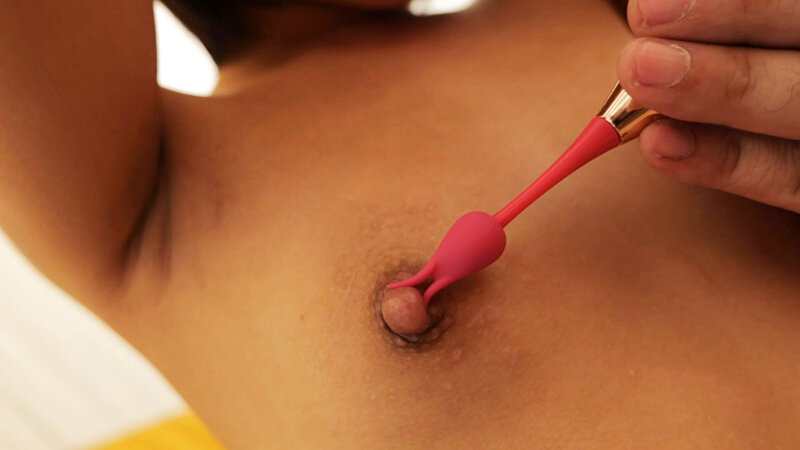 サンプル画像 11