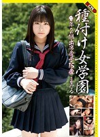サムネイル画像