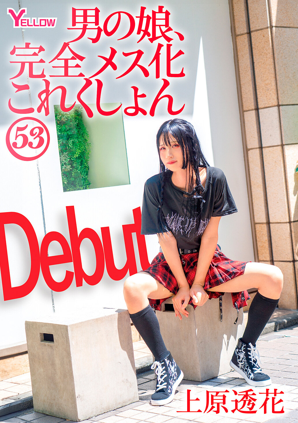 パッケージ画像