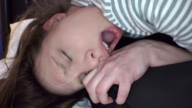 サンプル画像 12