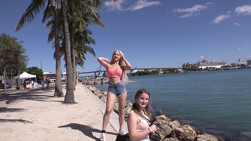 サンプル画像 2