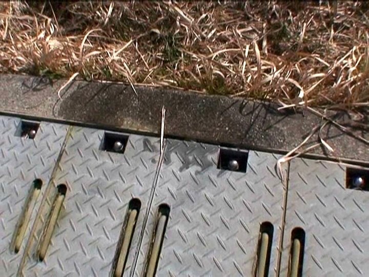 サンプル画像 12