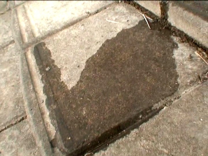 サンプル画像 21