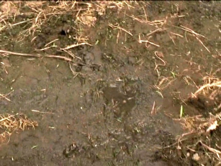 サンプル画像 8