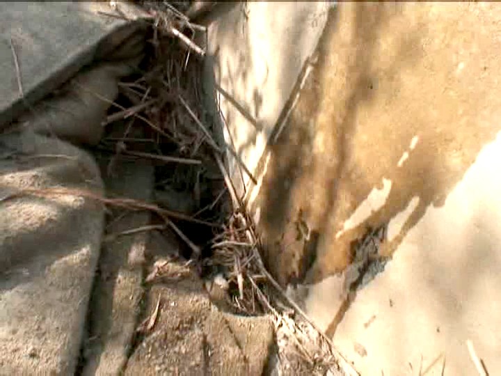 サンプル画像 13