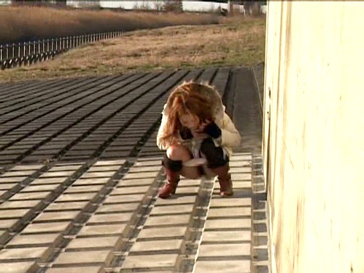 サンプル画像 14