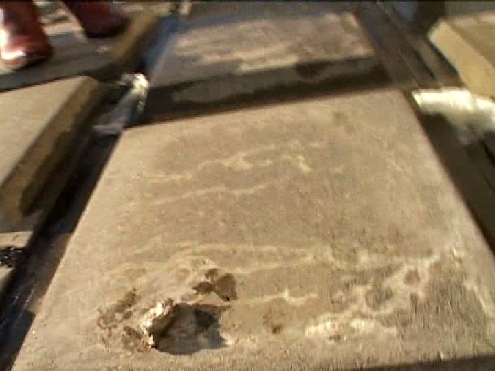 サンプル画像 15