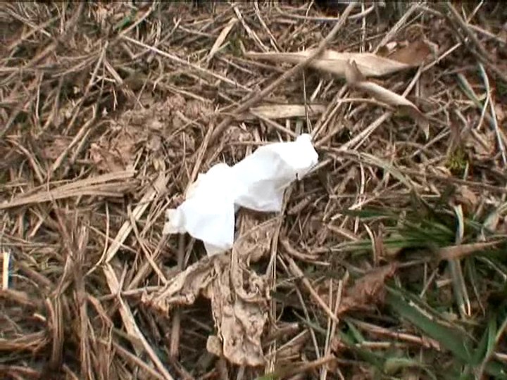 サンプル画像 19