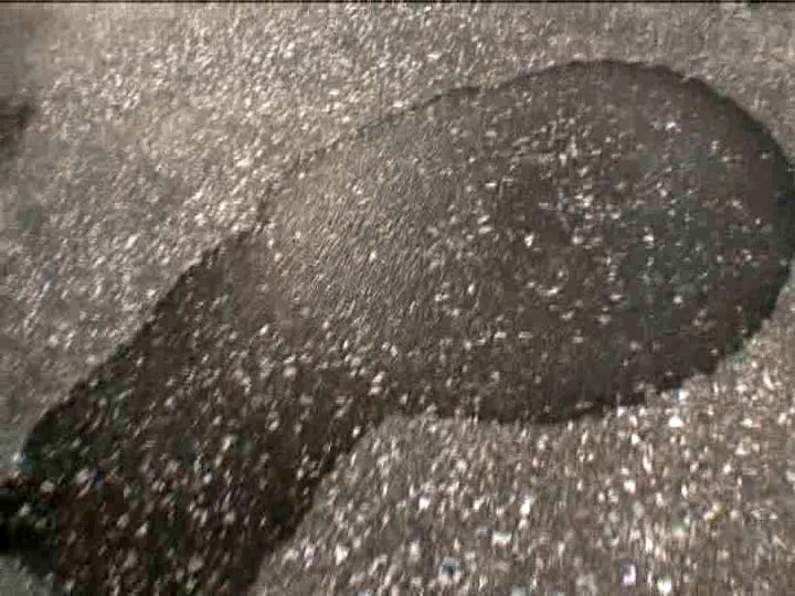 サンプル画像 8