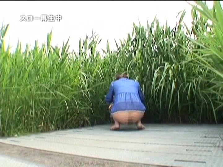 サンプル画像 18