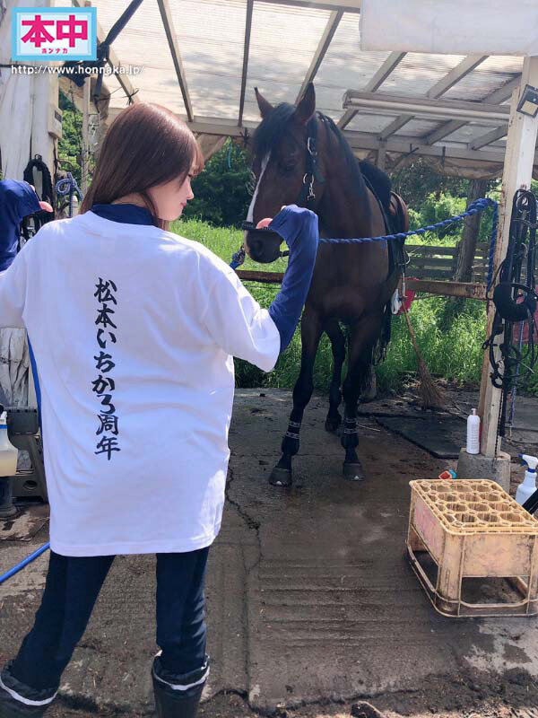 サンプル画像 11