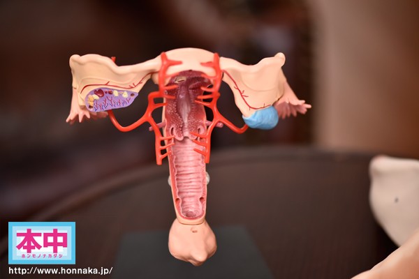 サンプル画像 11