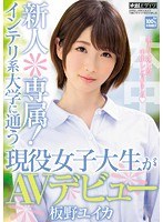 サムネイル画像