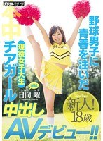 パッケージ画像