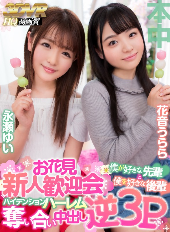 サンプル画像 11