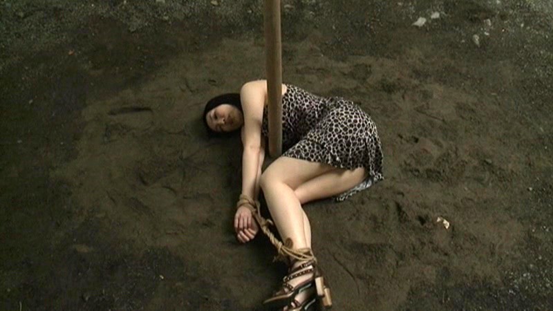 サンプル画像 7