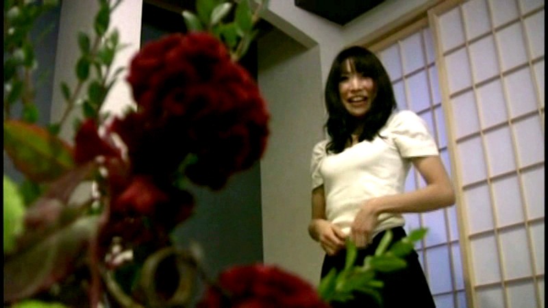 サンプル画像 8