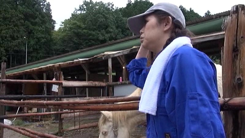 サンプル画像 12