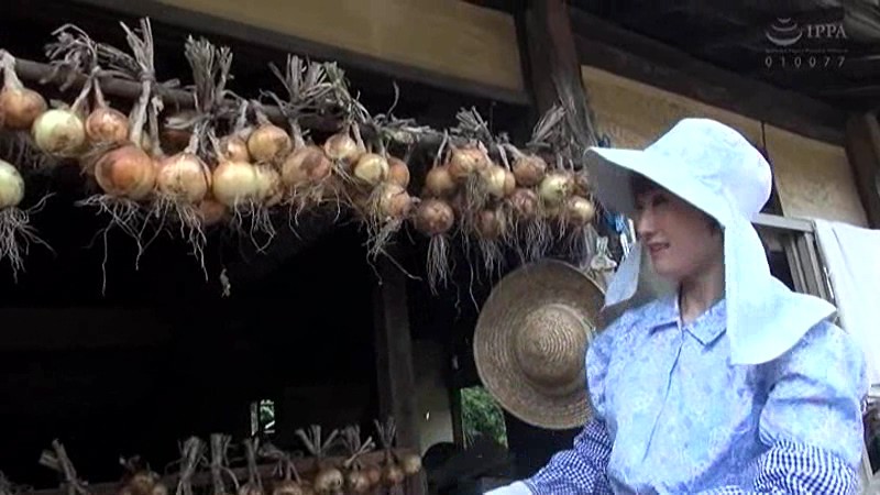 サンプル画像 18