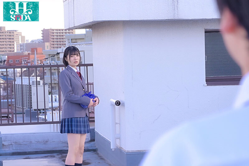 サンプル画像 12