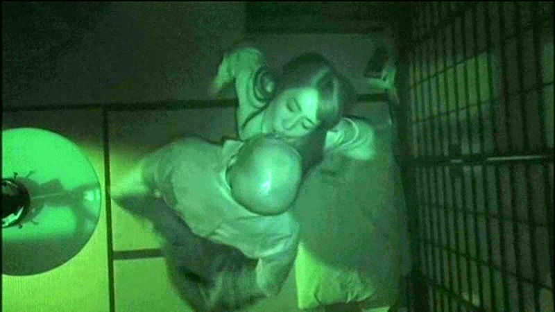 サンプル画像 13