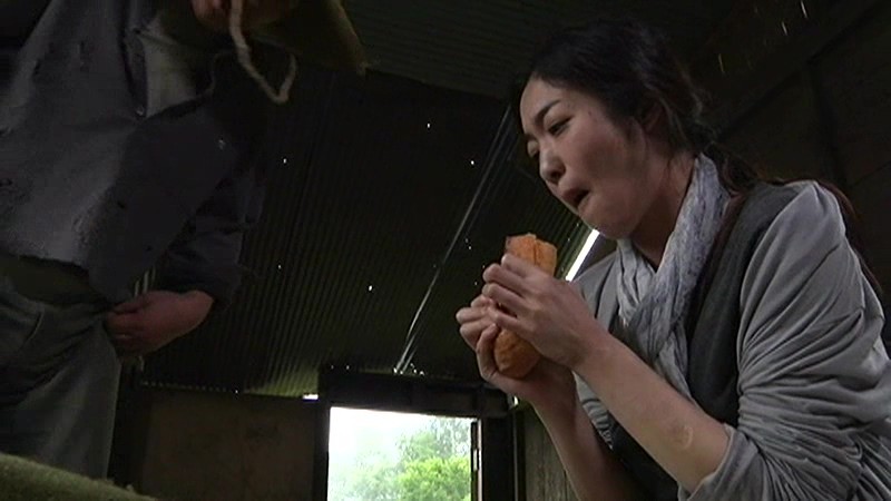 サンプル画像 4