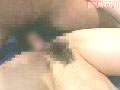 サンプル画像 31