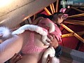 サンプル画像 12