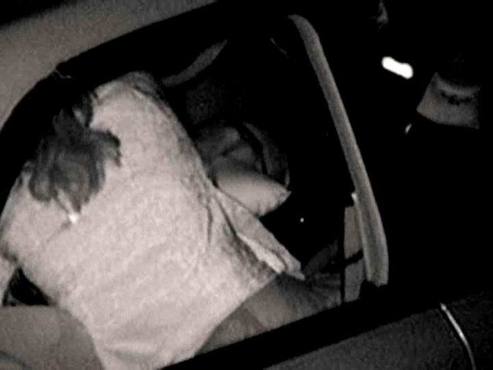 サンプル画像 7