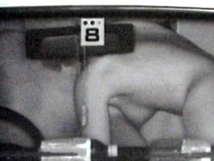 サンプル画像 7