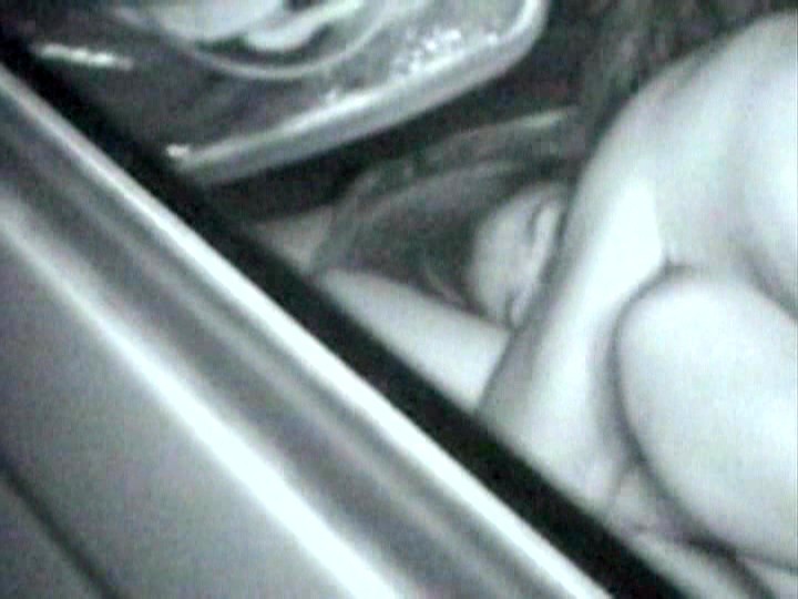 サンプル画像 9