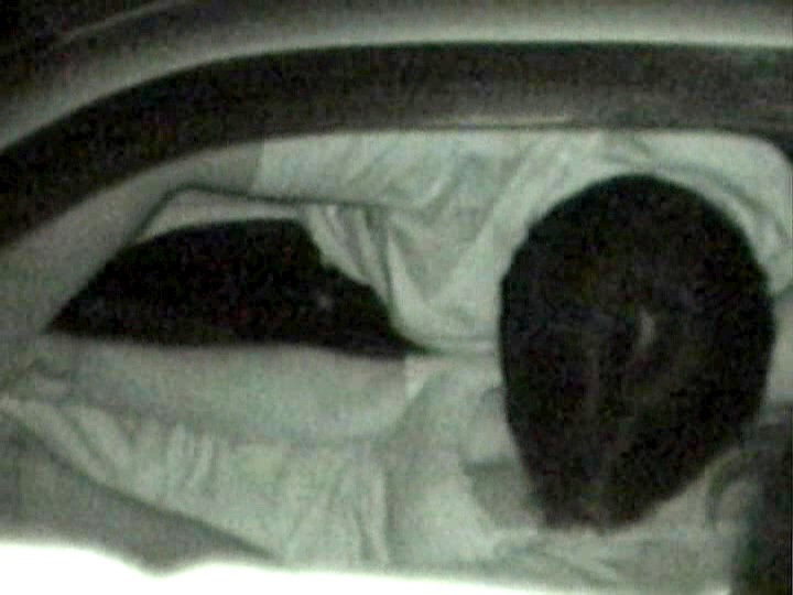 サンプル画像 15