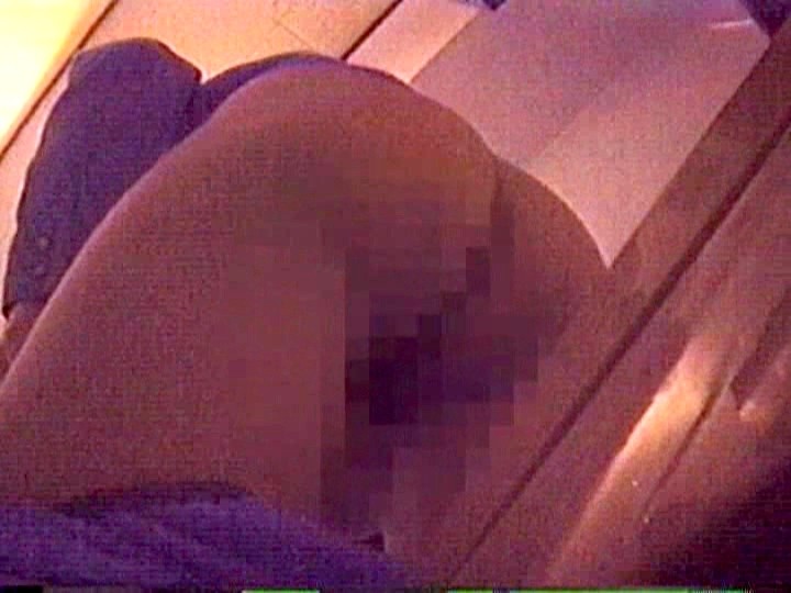 サンプル画像 5