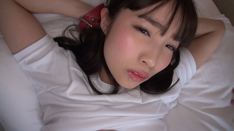 サンプル画像 11