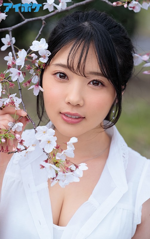 サンプル画像 13