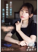 パッケージ画像