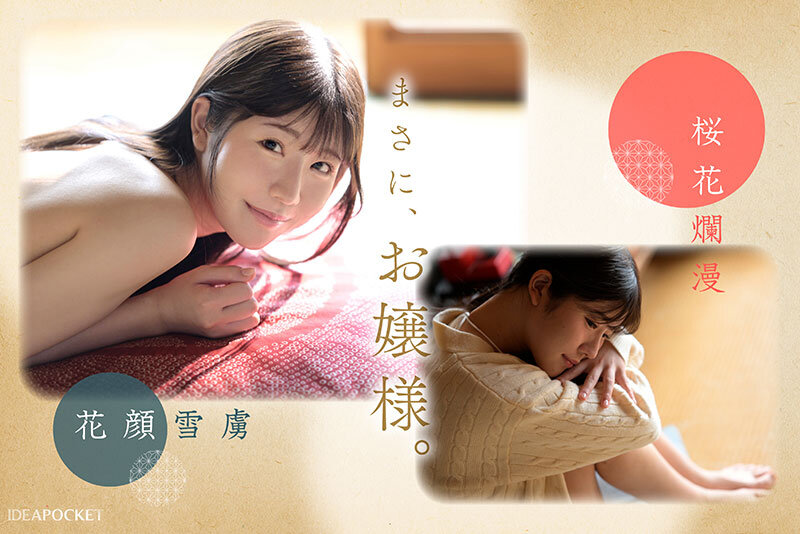 サンプル画像 4