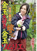 パッケージ画像