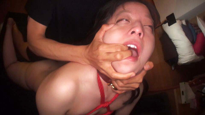 サンプル画像 13