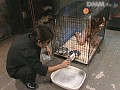 サンプル画像 11