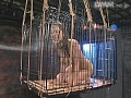 サンプル画像 29